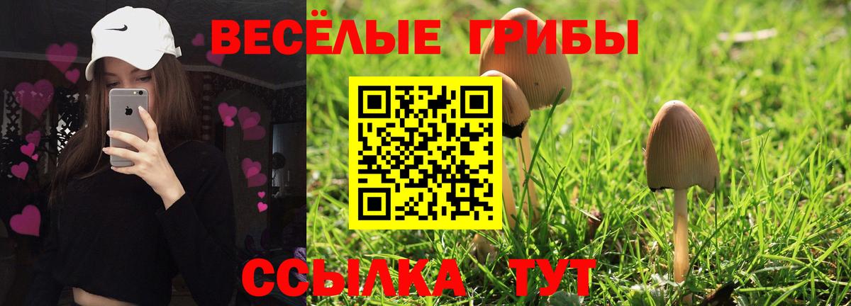 Псилоцибиновые грибы мухоморы  Вход с VPN  Ивантеевка  Галлюциногенные грибы прущие грибы 