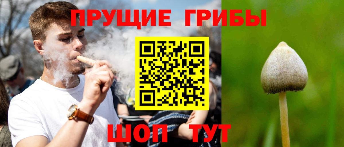 Псилоцибиновые грибы Cubensis Ивантеевка